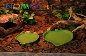 [NOMOY] 나뭇잎 문양 물그릇,밥그릇 사이즈선택!